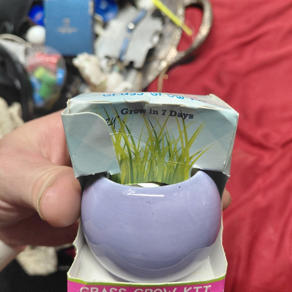 Purple Grass Grow Kit
